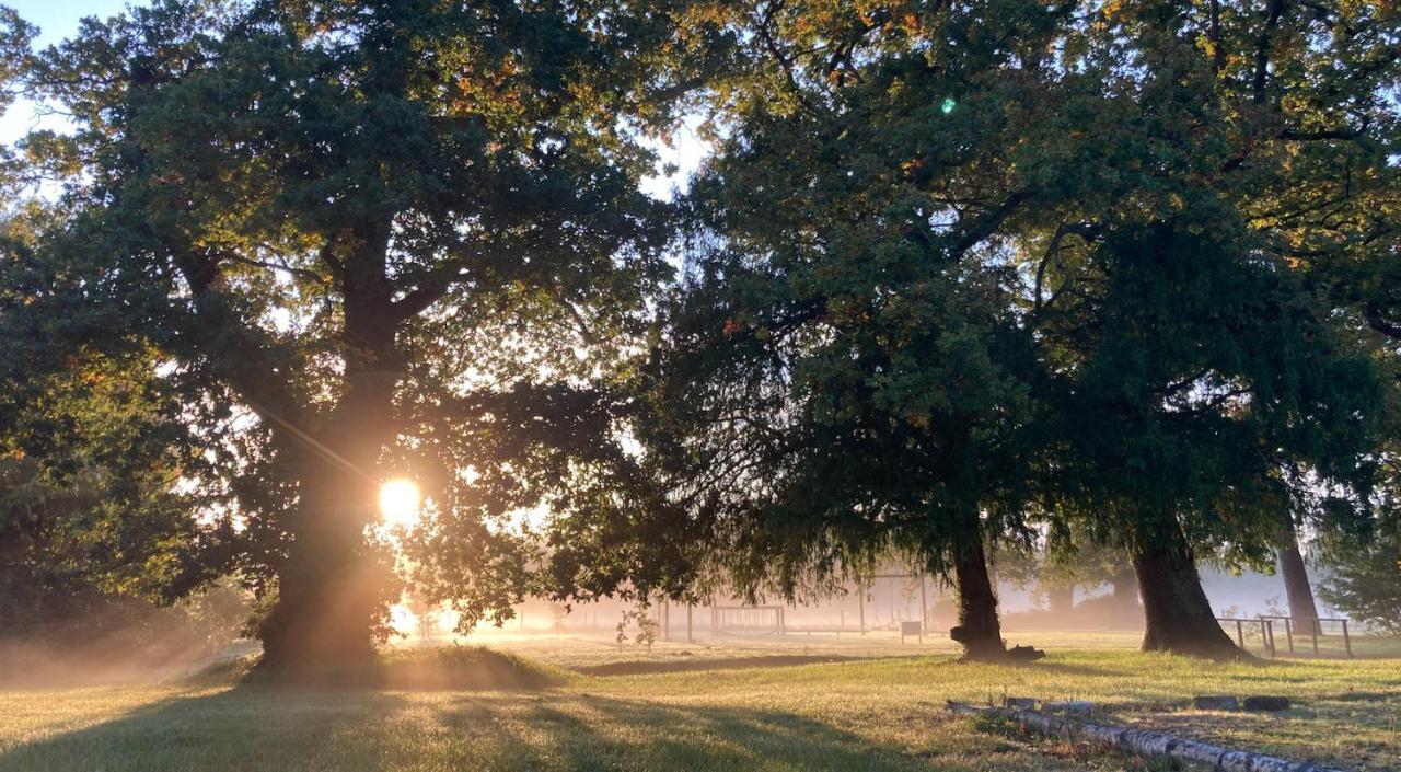 The Retreat New Forest, Hinton Christchurch  Ngoại thất bức ảnh
